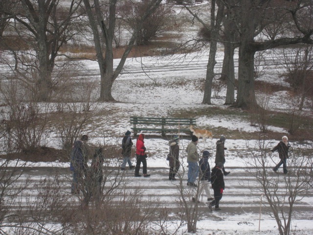 A group of people walking in a winter landsape