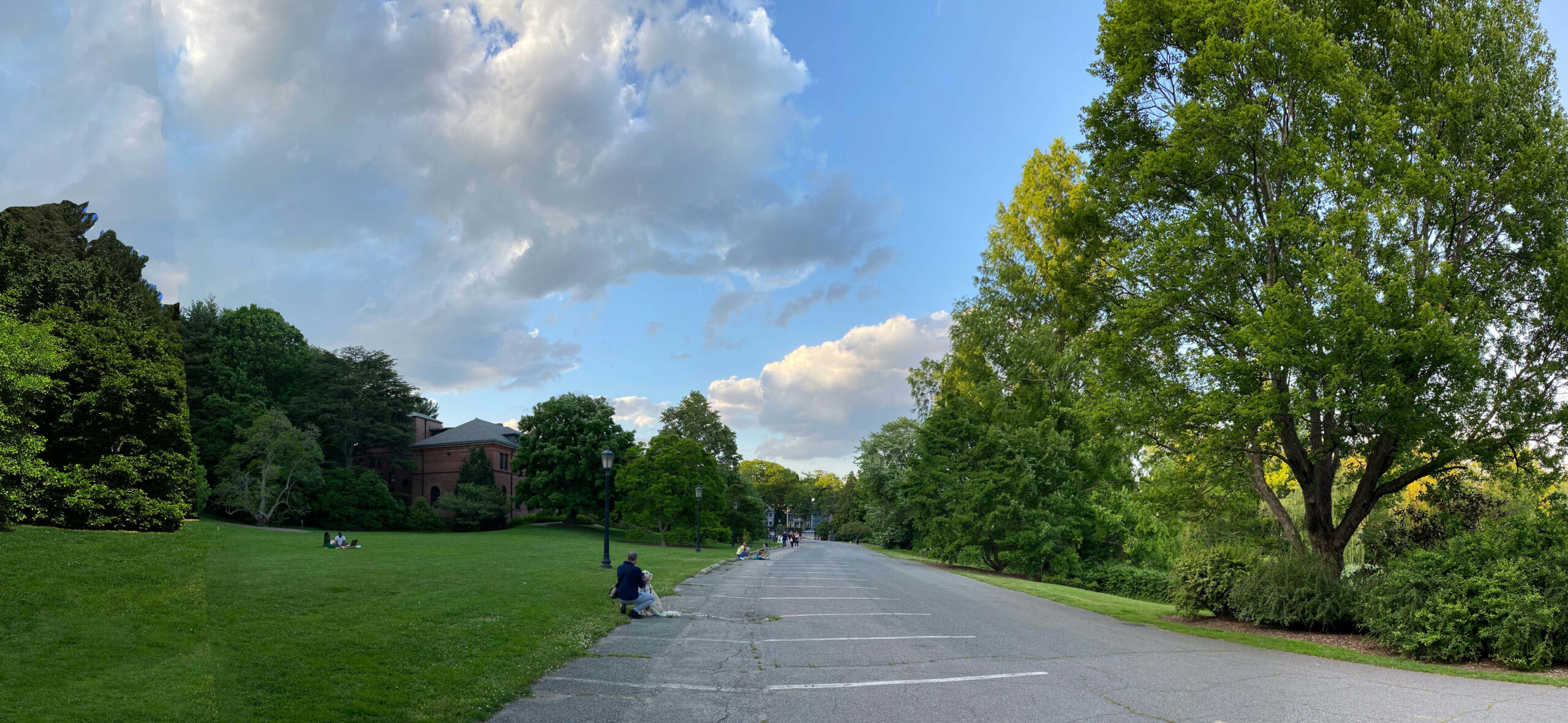 Imagen de la vista del camino de la salida de la Entrada de Arborway