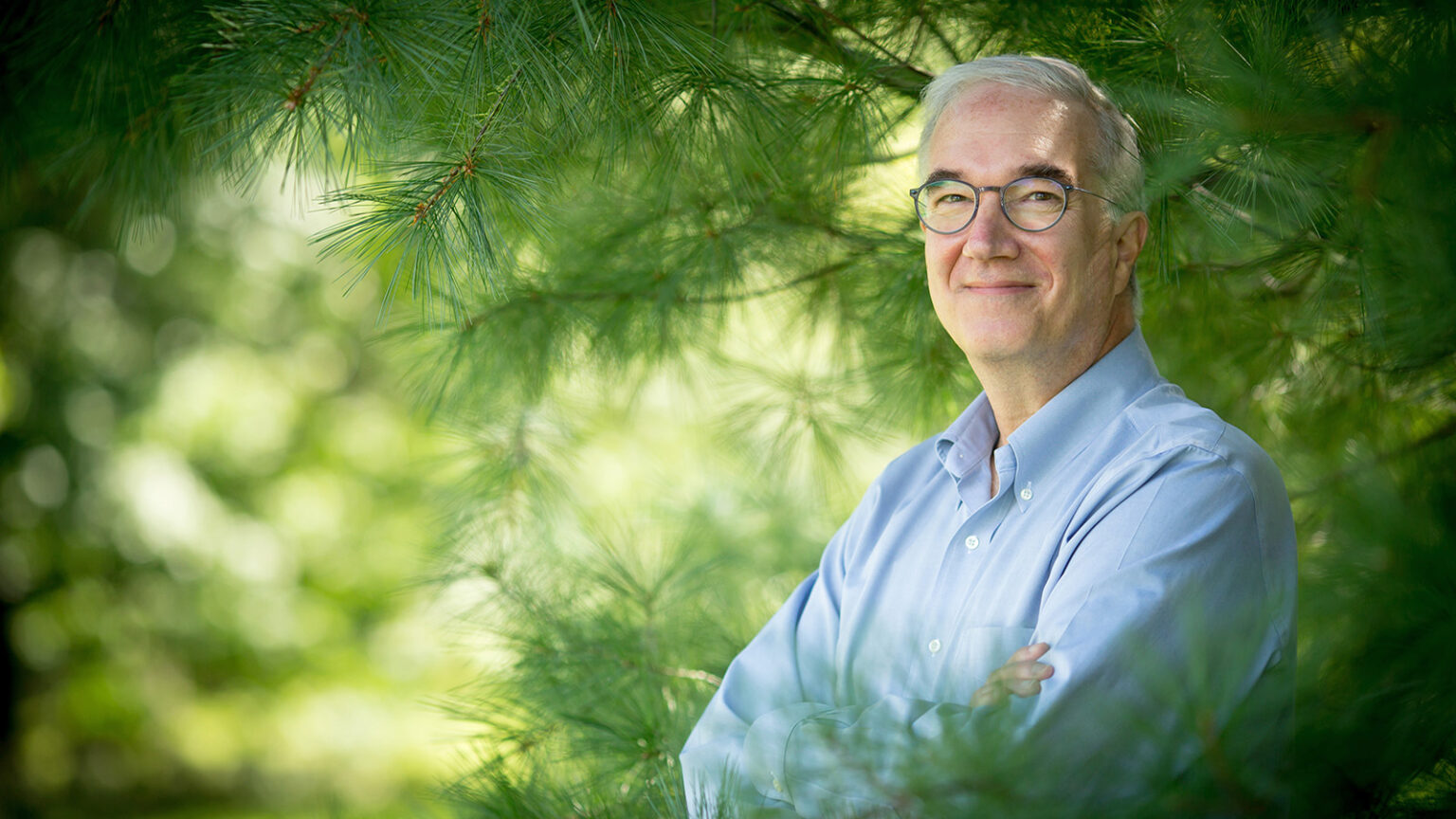 Trees teach (us how to love) - Arnold Arboretum