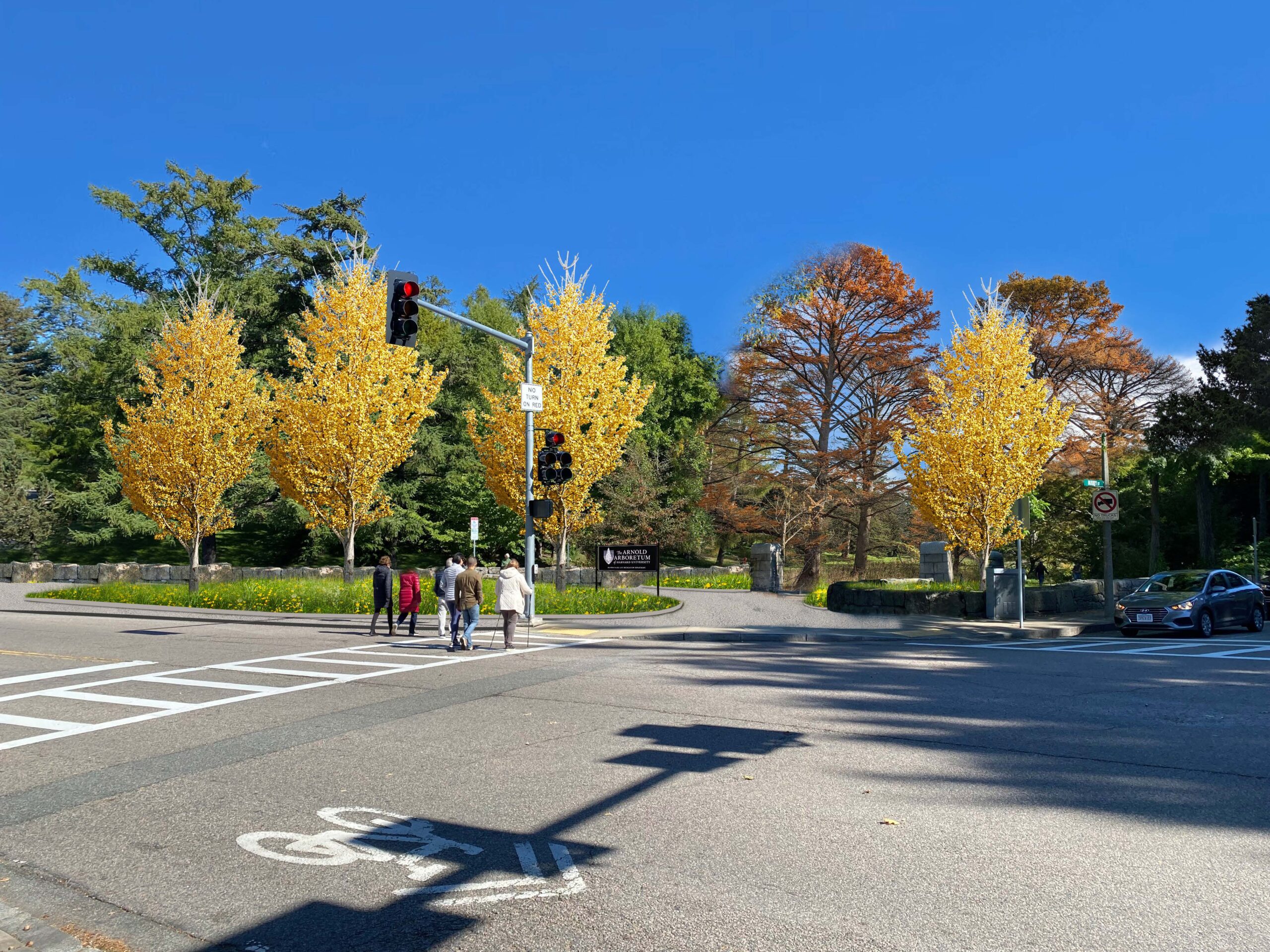 Image of Walter Street Gate Proposed Arrival View