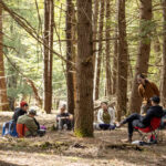 A group of people sits in a forest grove