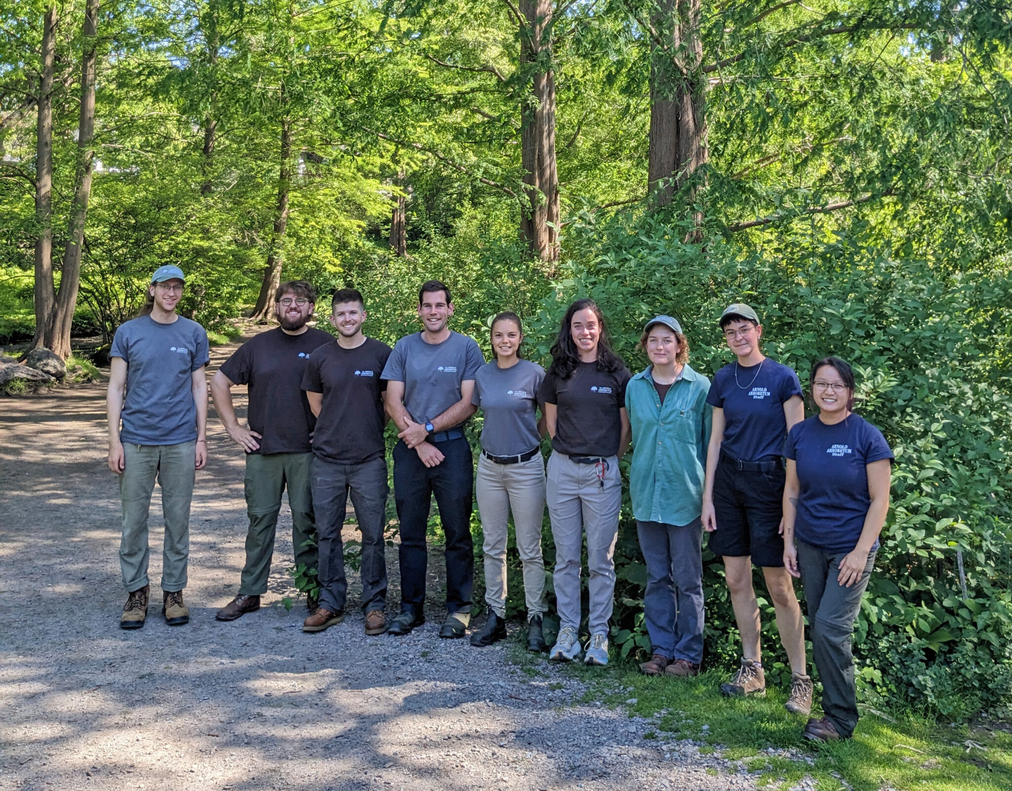 Hunnewell Interns Arnold Arboretum Arnold Arboretum