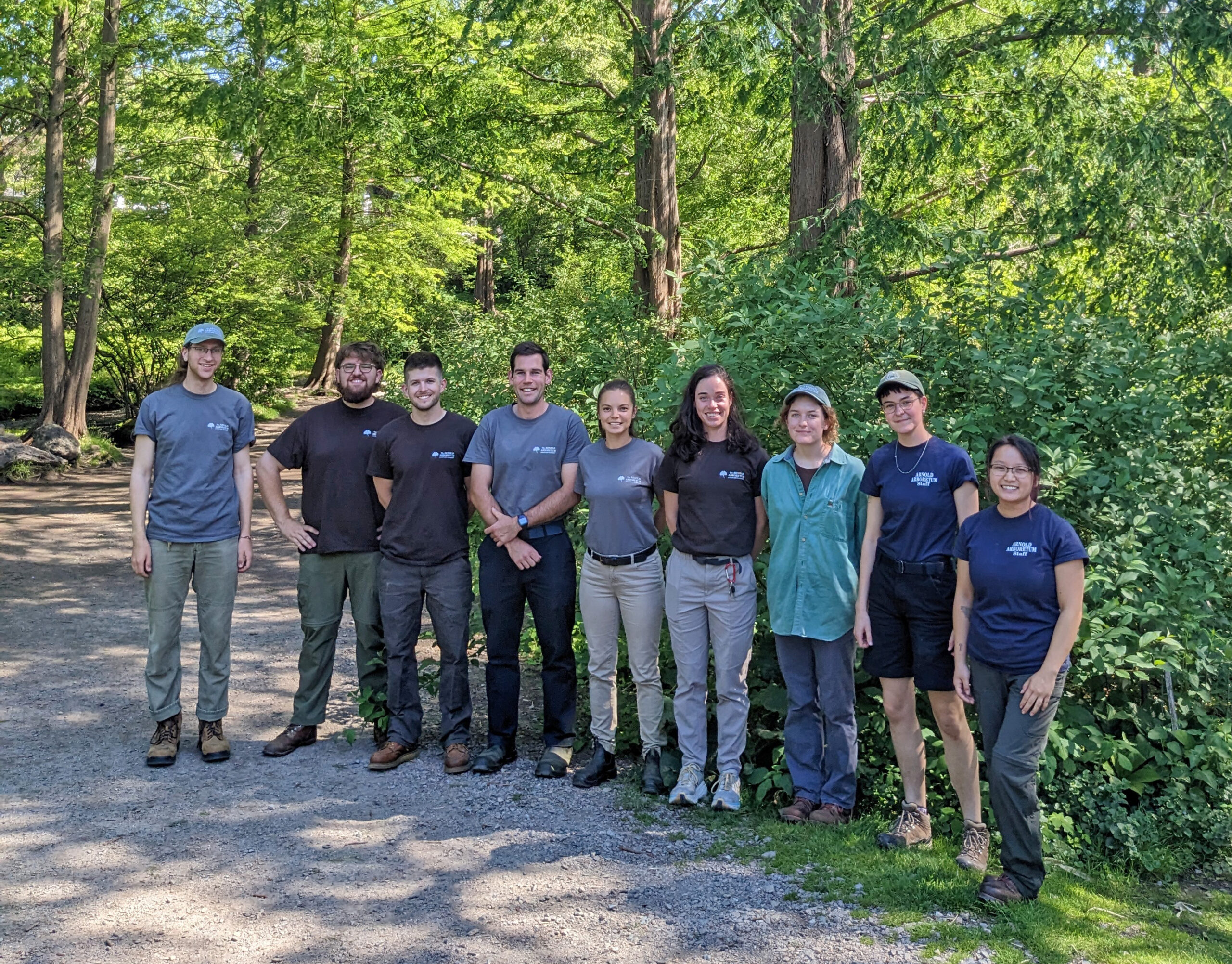 Hunnewell Interns - Arnold Arboretum