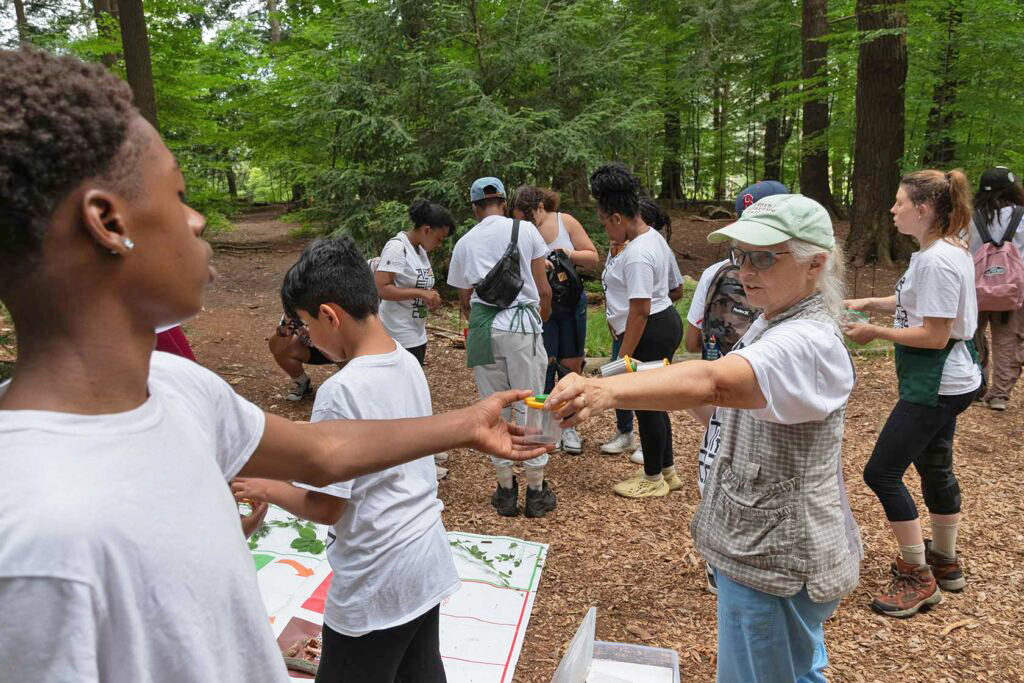 Future Scientists Explore Arboretum in Youth Summer Science Program