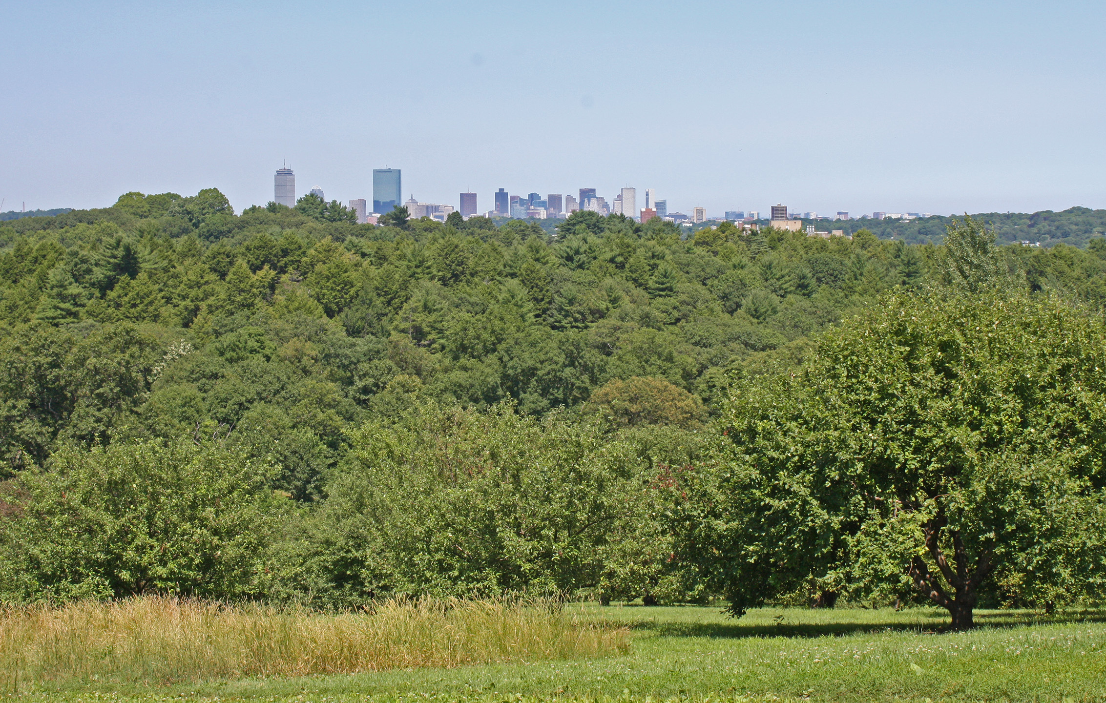 View of the Boston skyline from Peters Hill in summer