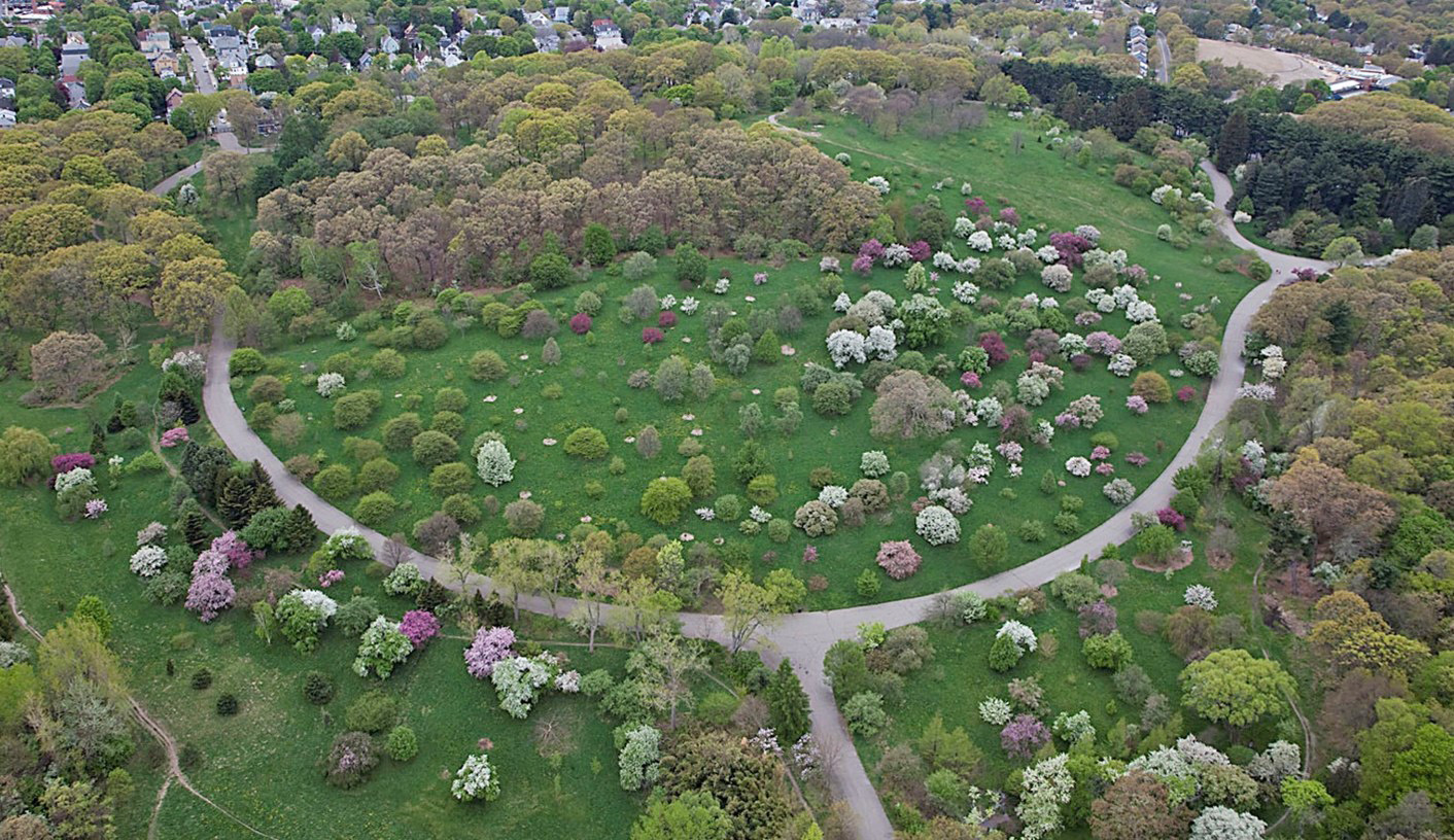 Aerial view of Peters Hill, including the road that loops around it