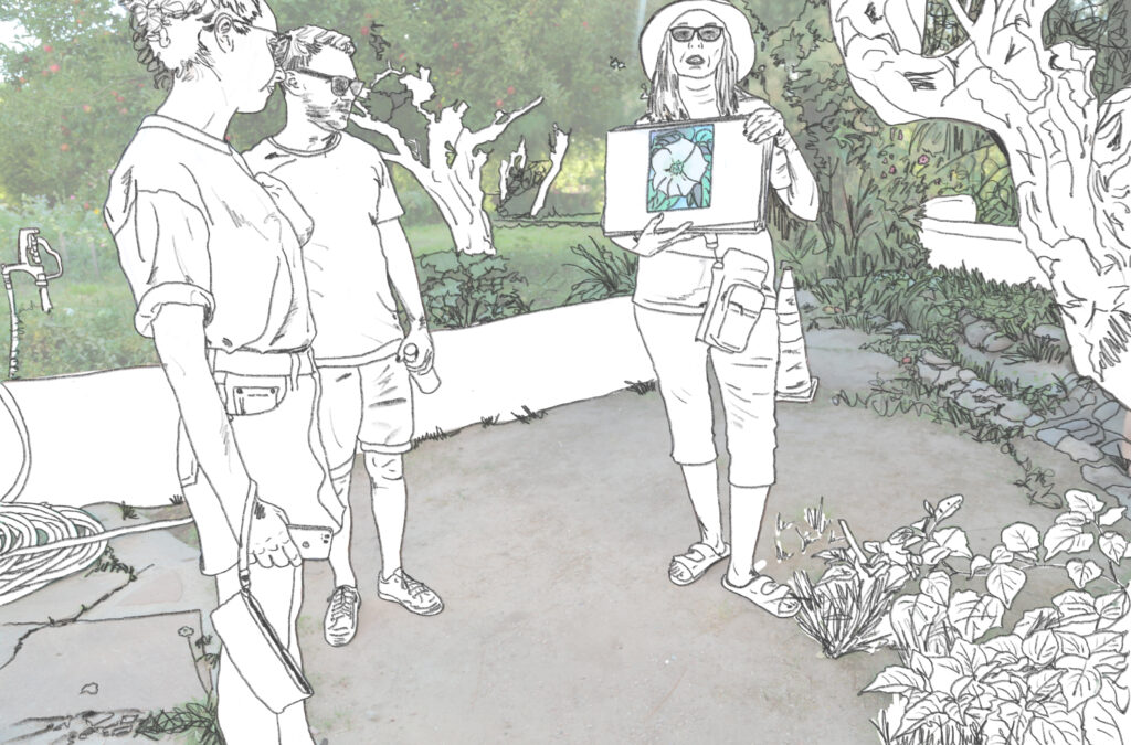 O'Keeffe's Garden as Witness Arnold Arboretum Arnold Arboretum