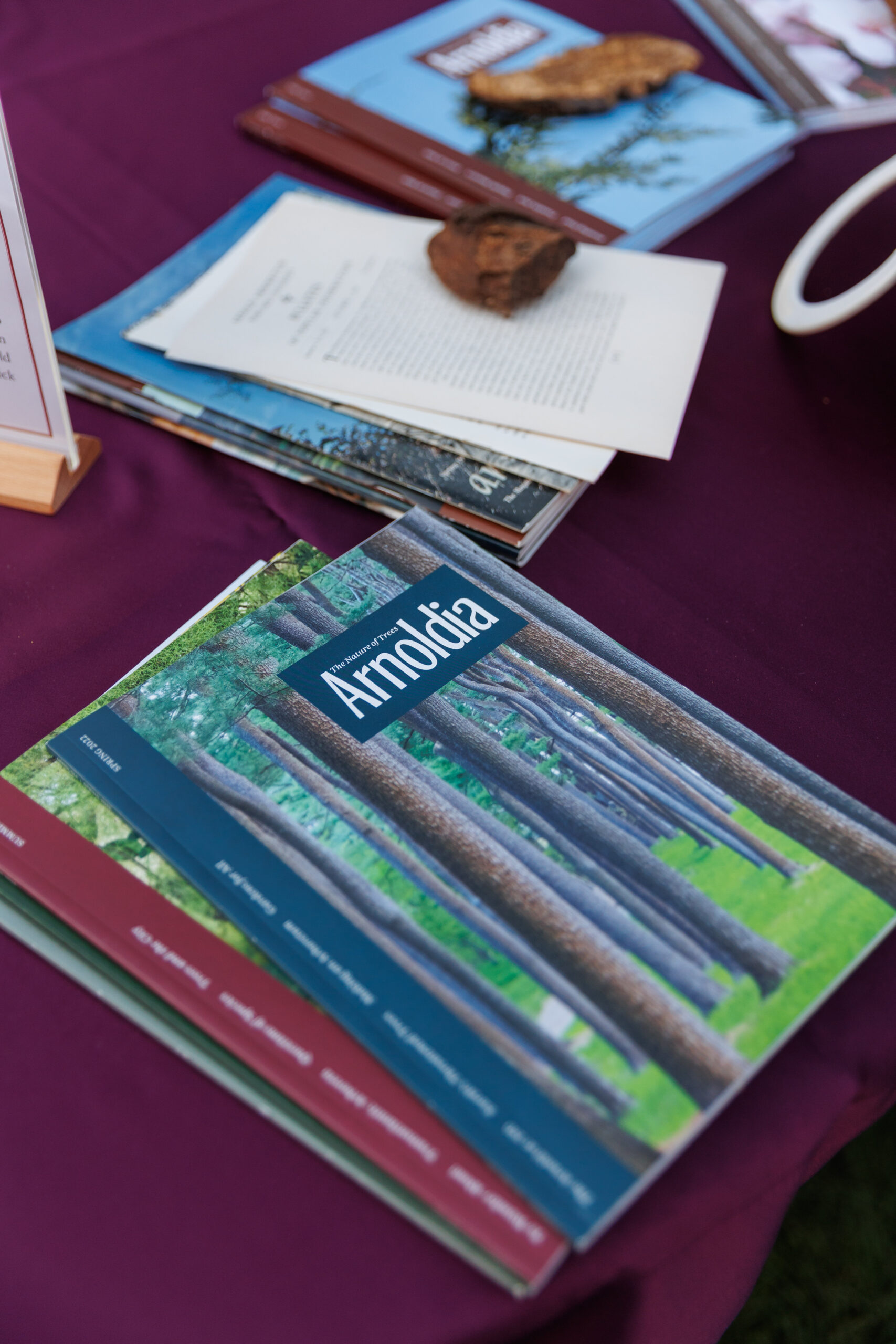 Display of Arnoldia magazines at Magical Meanderings Autumn Dinner, September 19, 2023