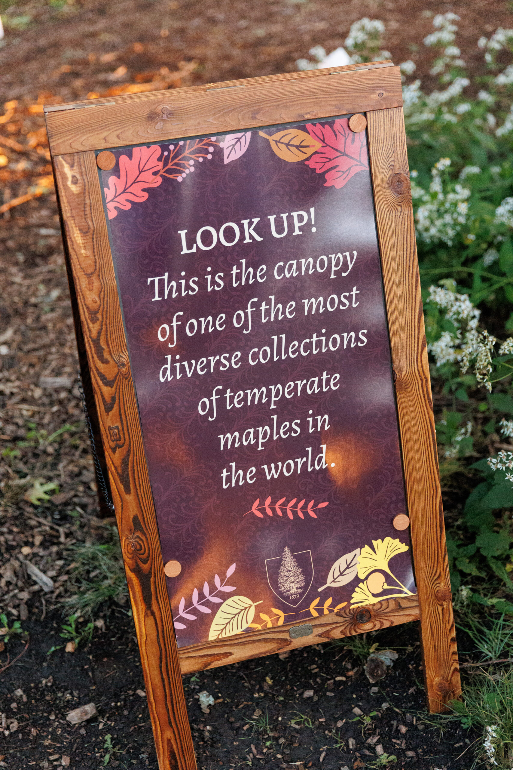 Sign in the maple collection at Magical Meanderings Autumn Dinner, September 19, 2023