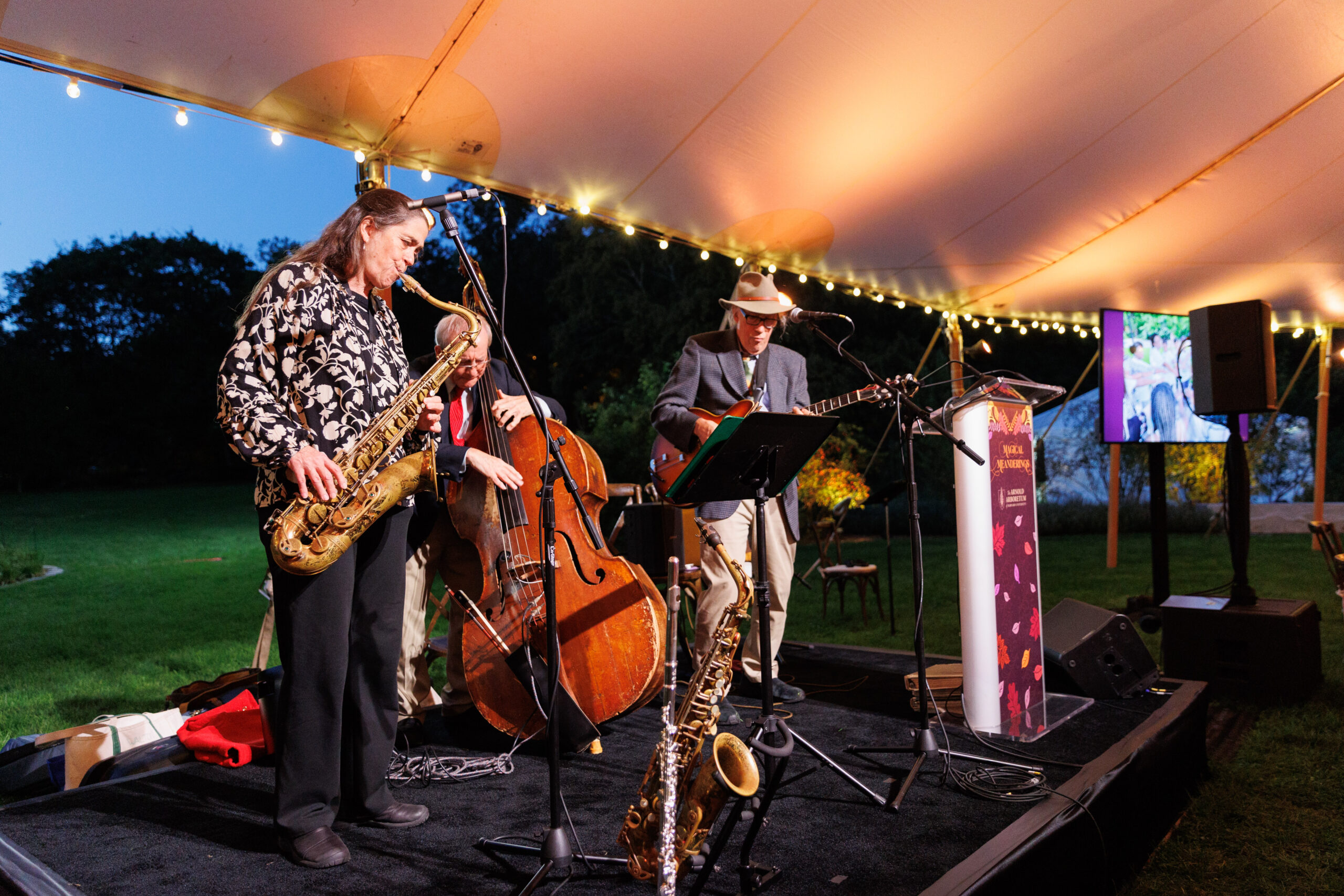 Musicians perform under the event tent in the Bradley Rosaceous Collection at Magical Meanderings Autumn Dinner, September 19, 2023