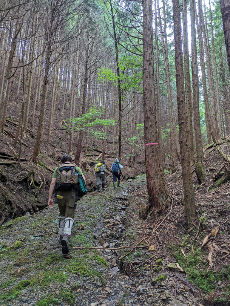 Expedition participants trek through Utsunomia University research forest in Funyu, Japan