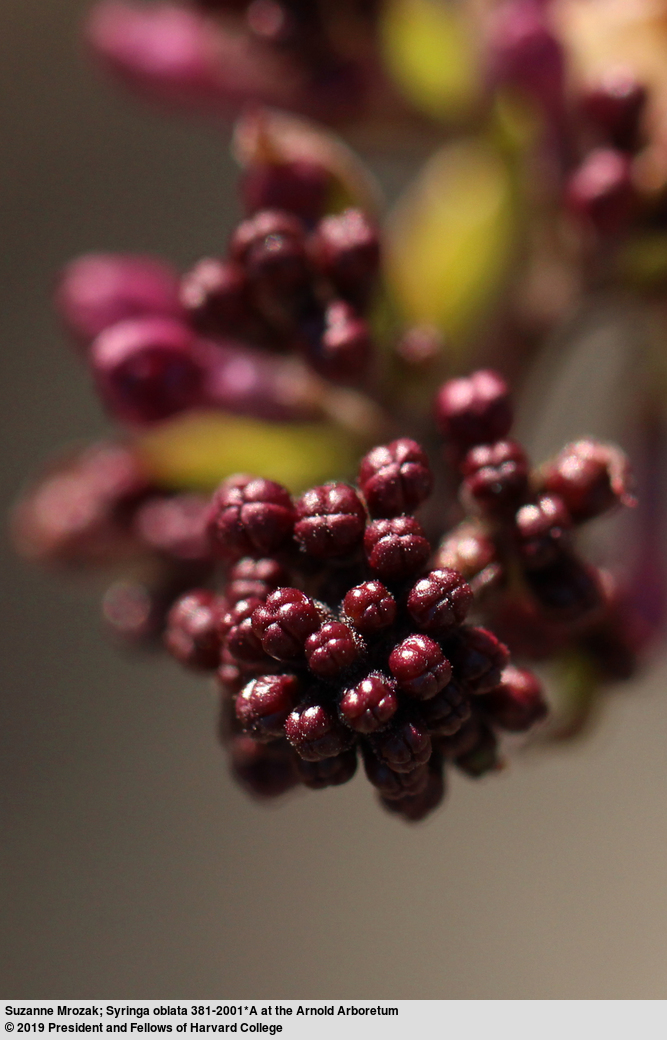 Two Poems