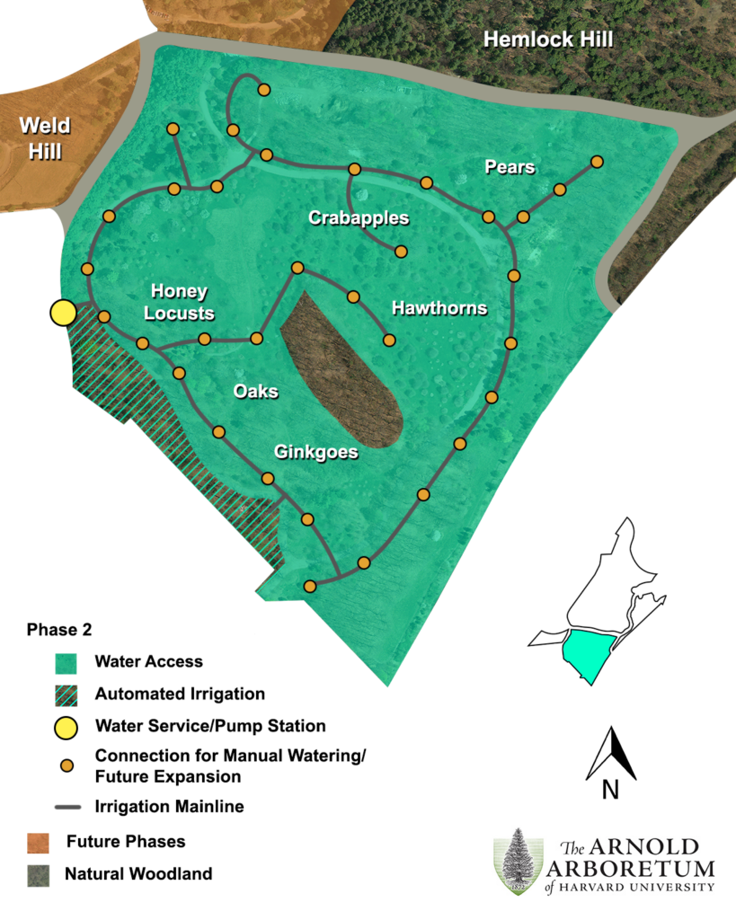 Graphic illustrating Phase 2 of the Arboretum Drought Preparedness Initiative, with over 60 acres of new water access on Peters Hill.