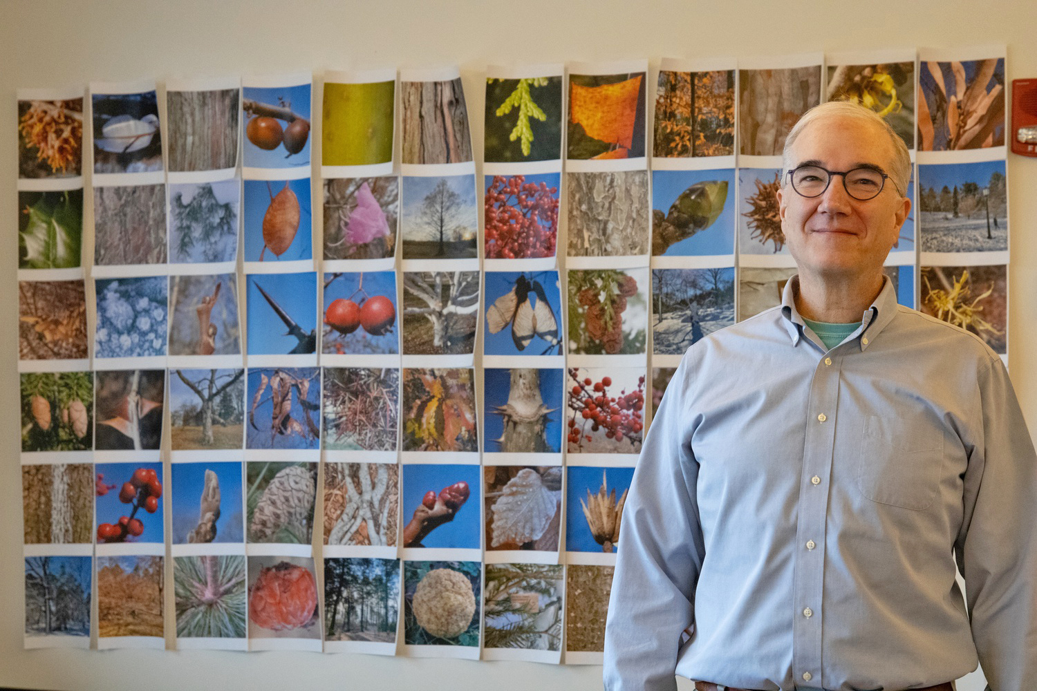 Fifteen Questions: Ned Friedman on the Arnold Arboretum, ‘Botanizing,’ and His Favorite Tree