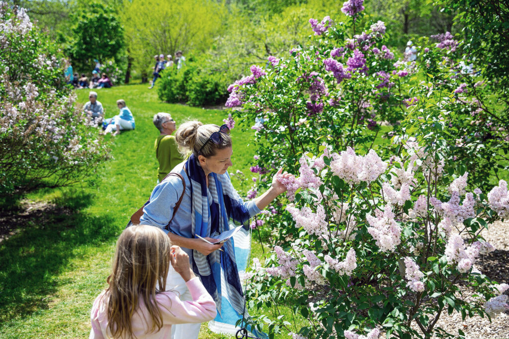 Lilac Sunday visitors on Bussey Hill