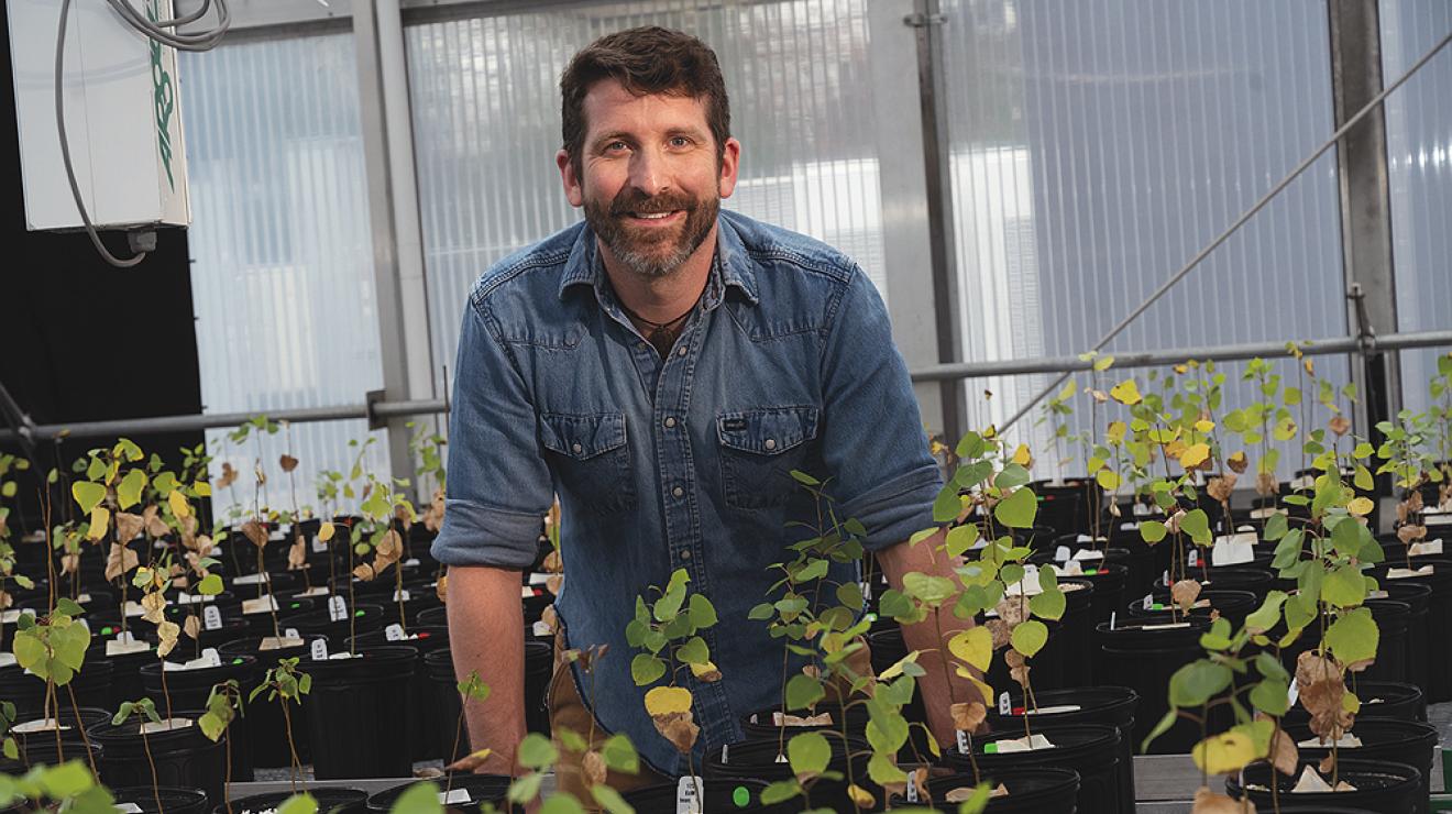 Ben Taylor in the Weld Hill Research Building Greenhouses by Jim Harrison