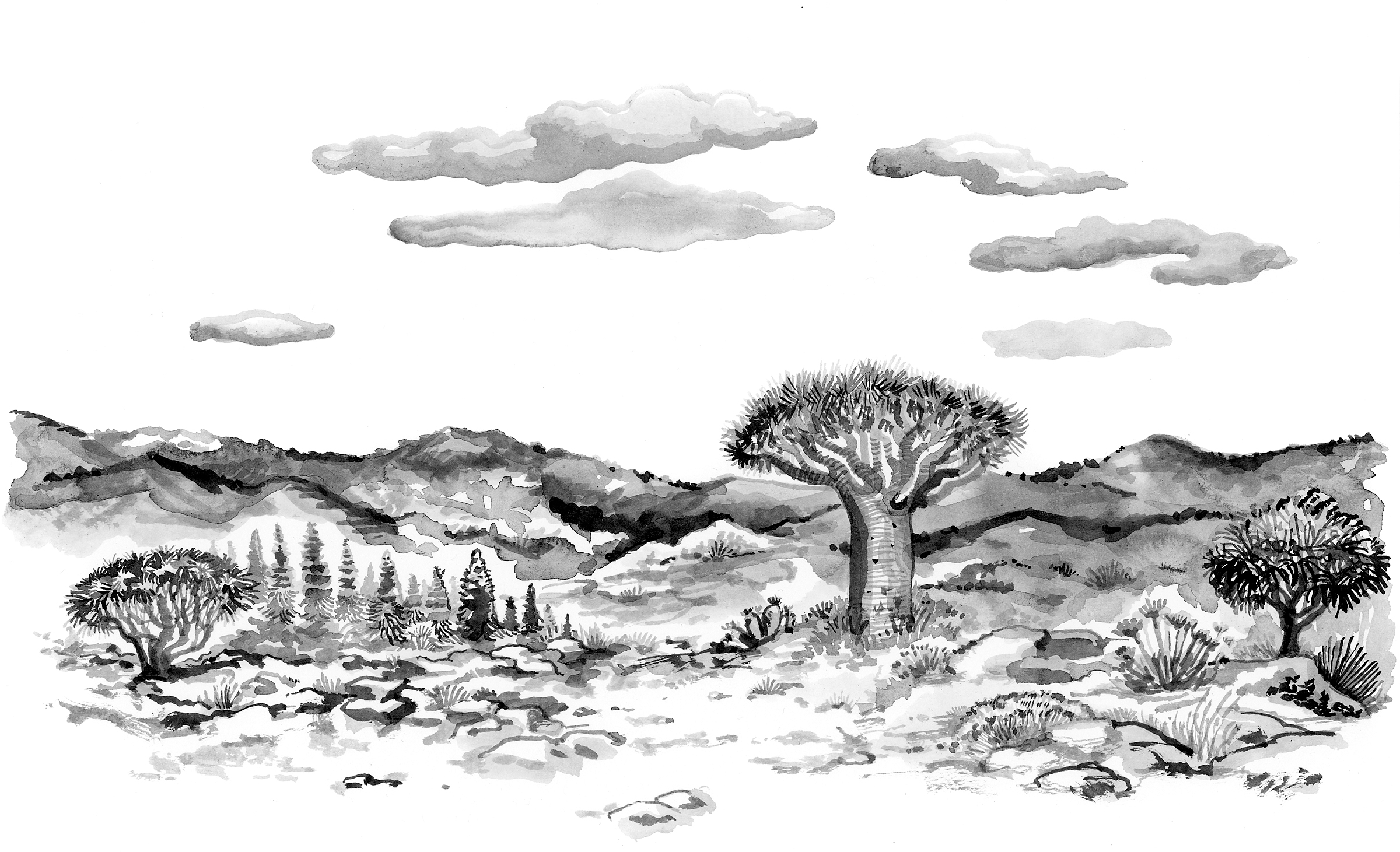 Darwin’s Endangered Fantasy