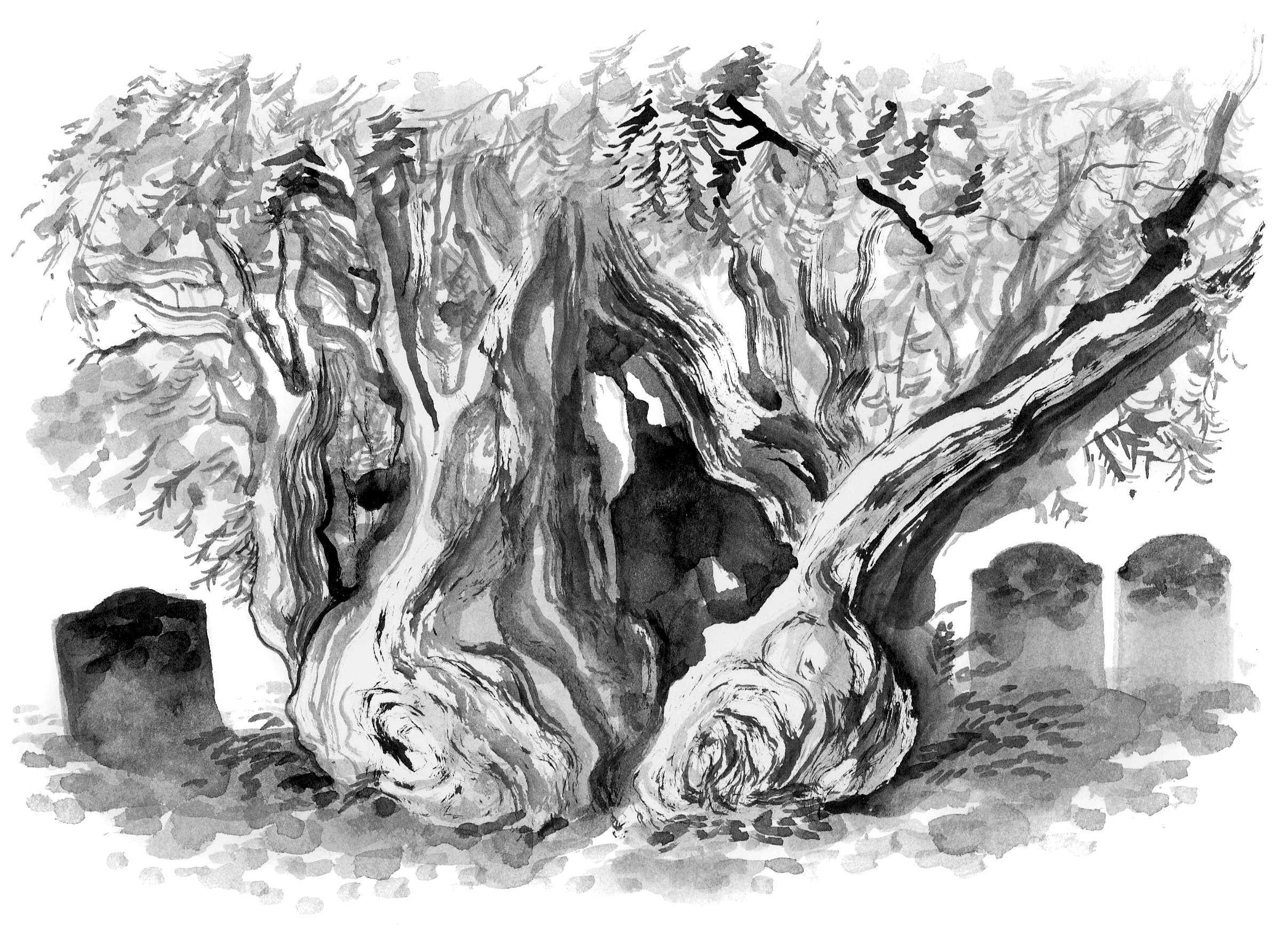 In and Out of Ancients