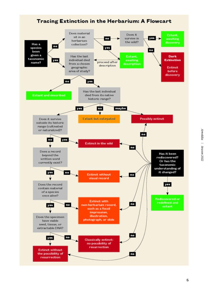 Flowchart of extinction definitions, the full explanation of which is given in the body of the article "Gradations of Extinction" by Gary Krupnick.