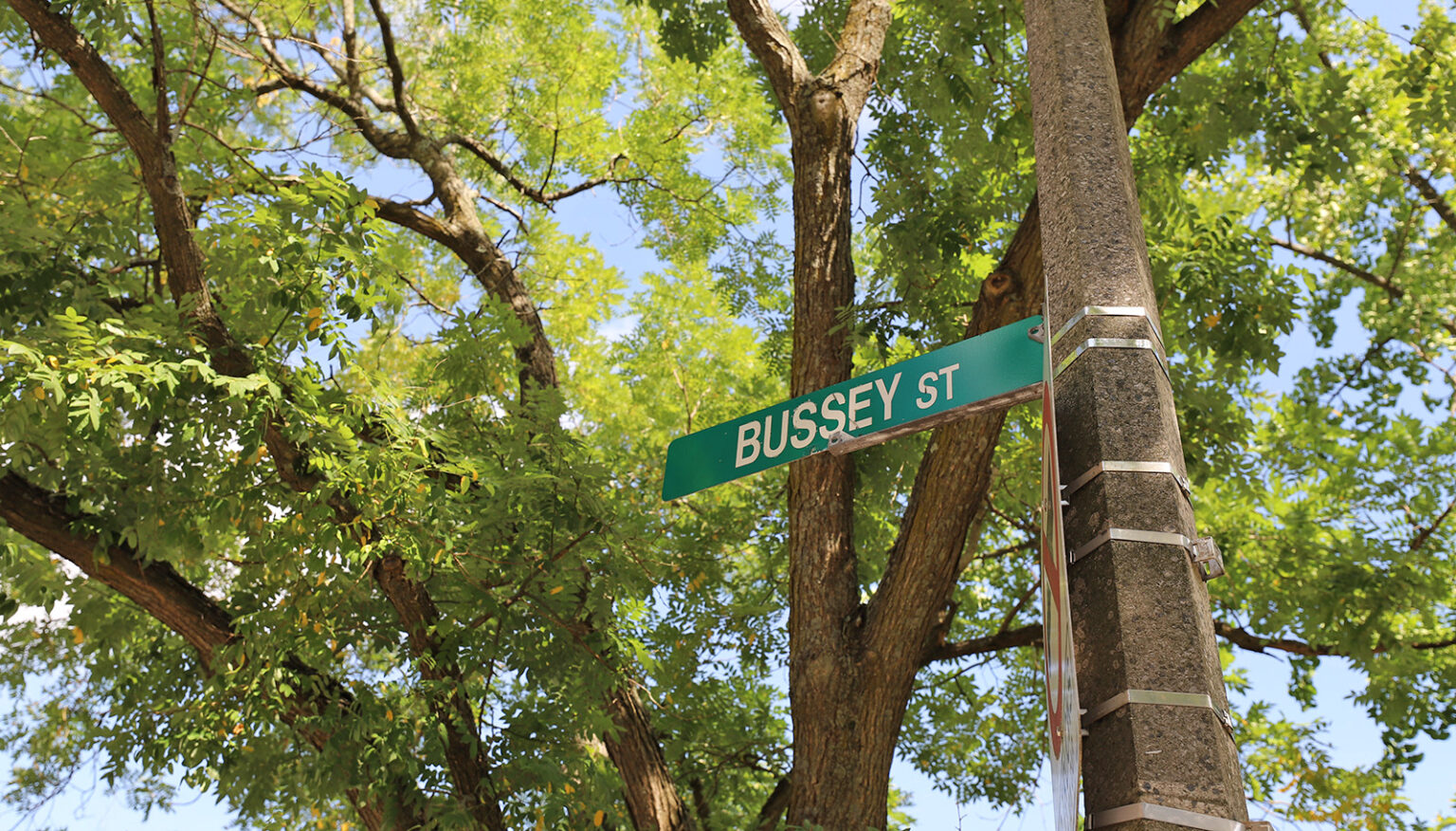 Bussey Arboretum and Parks Department Petition City for Bussey Street Name ...