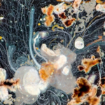 Colorful time lapse photograph of plankton trails