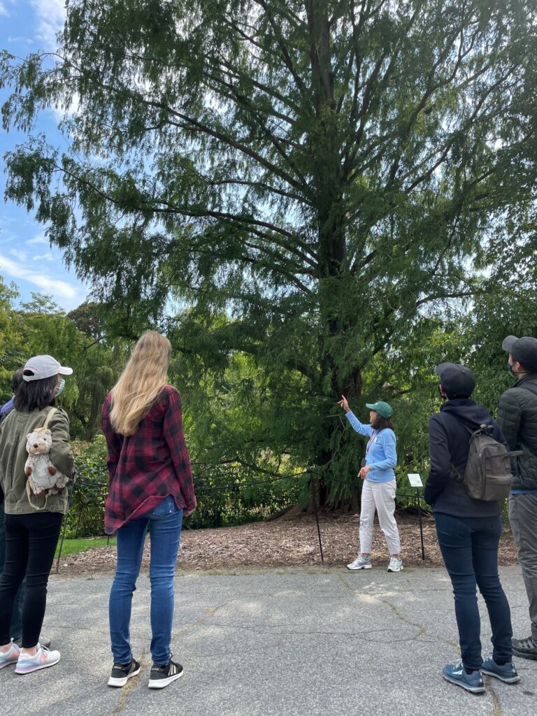 A group of five people stand outdoors, listening to a person in a blue shirt and cap who is gesturing toward a tall tree. The scene is set on a sunny day with a blue sky and greenery in the background.