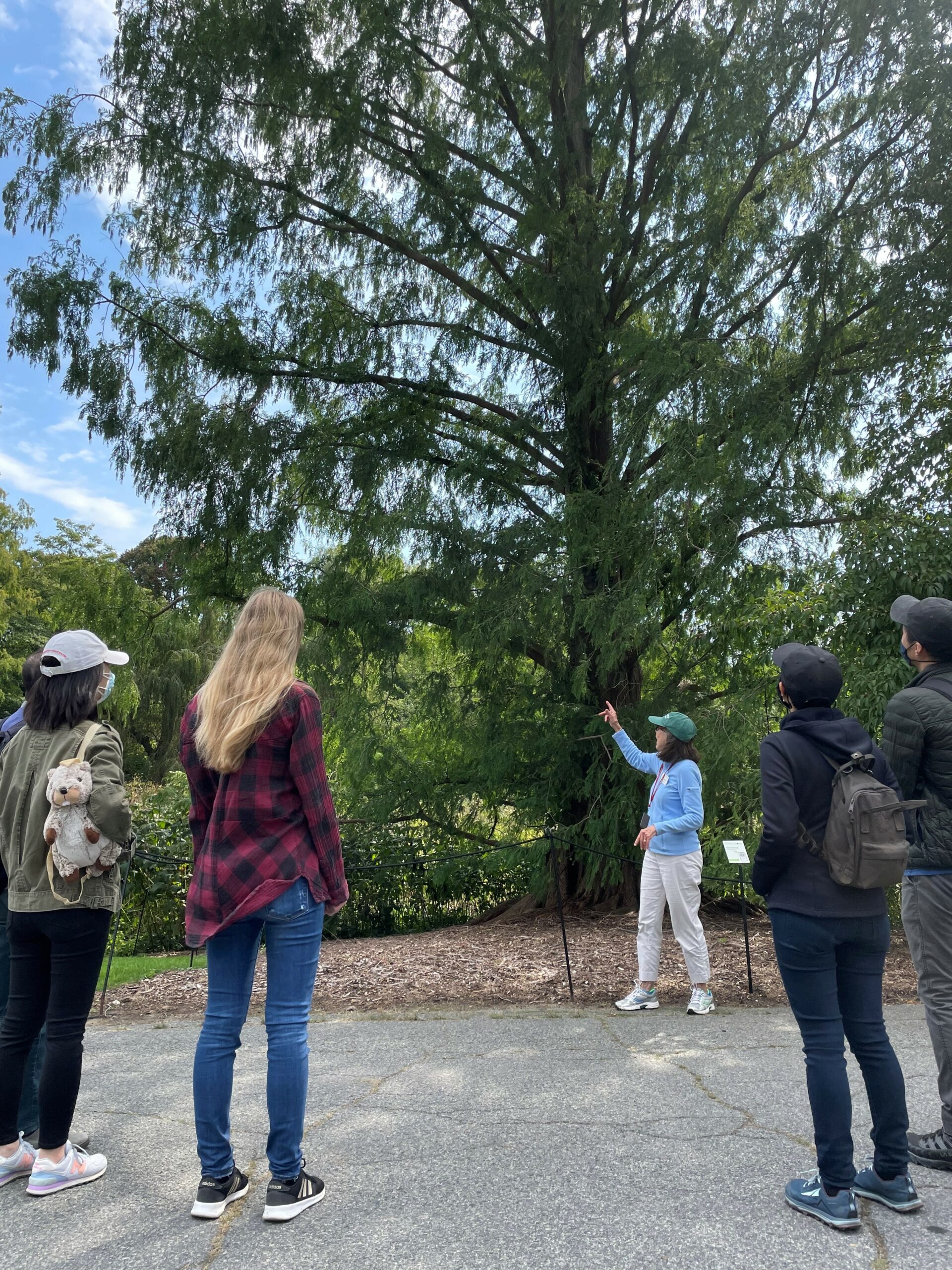 A group of five people stand outdoors, listening to a person in a blue shirt and cap who is gesturing toward a tall tree. The scene is set on a sunny day with a blue sky and greenery in the background.