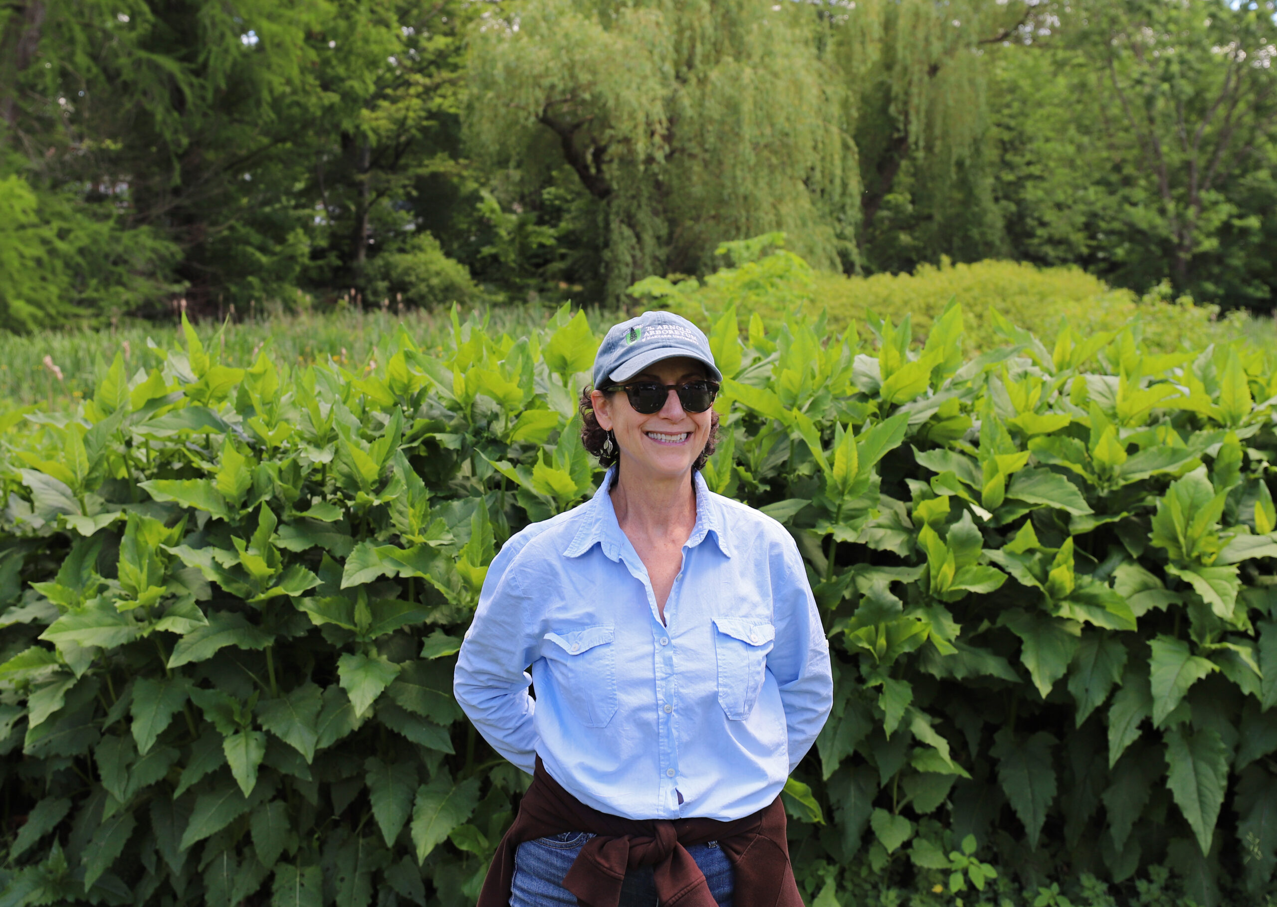 Joy Silverstein at the Arnold Arboretum