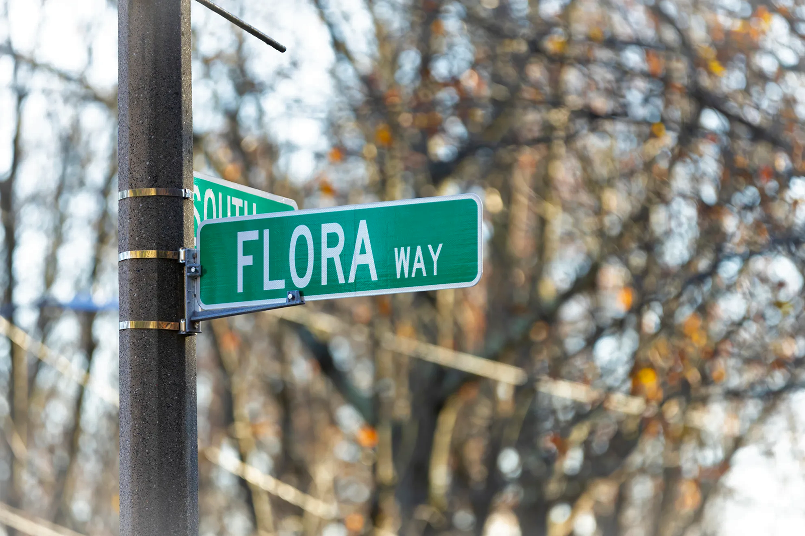 Street Renamed Flora Way to Honor Enslaved Woman