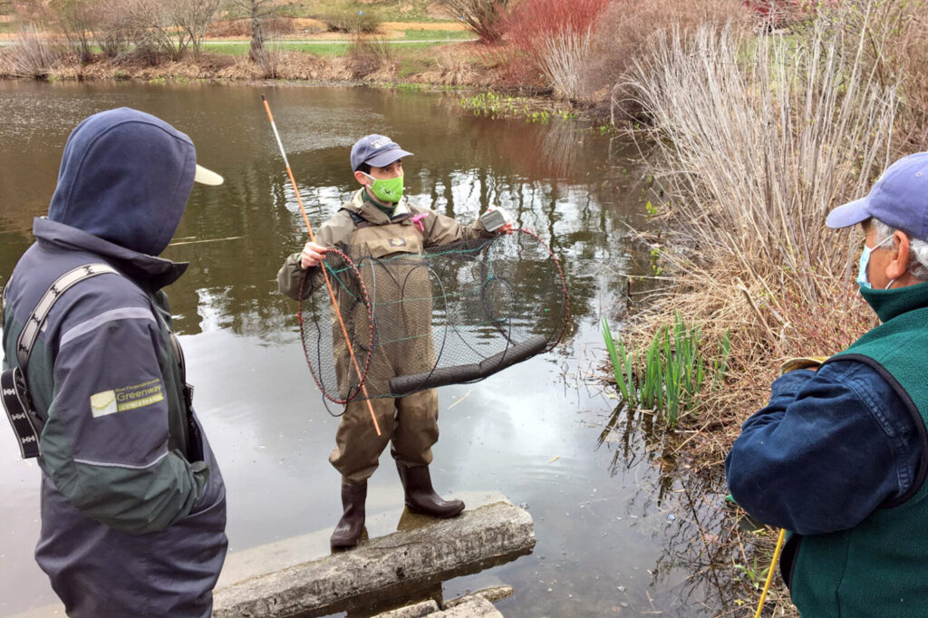 Pond Restoration