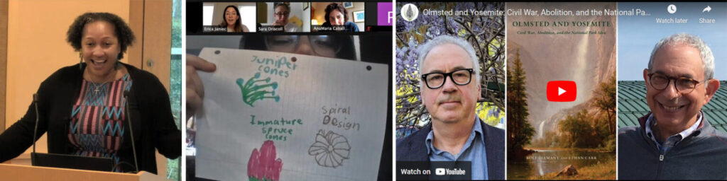 Virtual Programs Collage