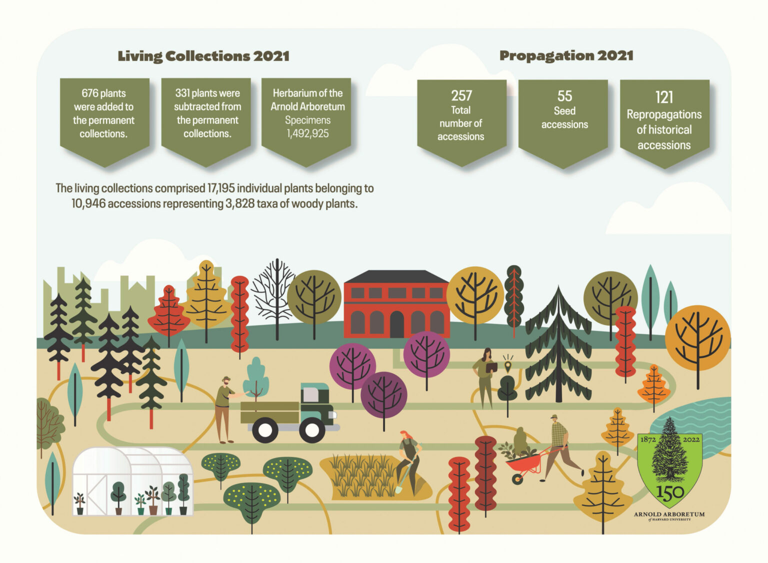 Collections 2021 Graphic