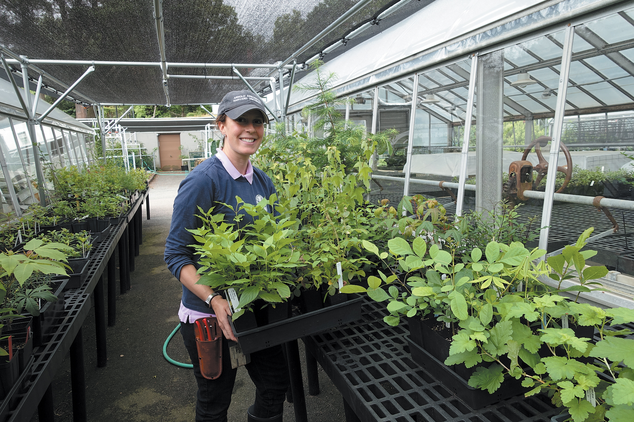 Behind the Scenes: The Dana Greenhouses