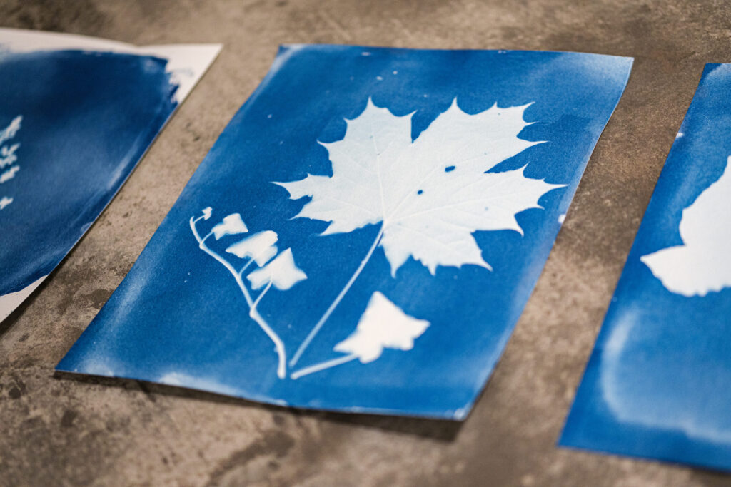 A cyanotype print of a maple leaf and stem on blue paper, with white silhouettes of the leaf and smaller leaves standing out against the vibrant blue background. The artwork lies on a textured gray surface.