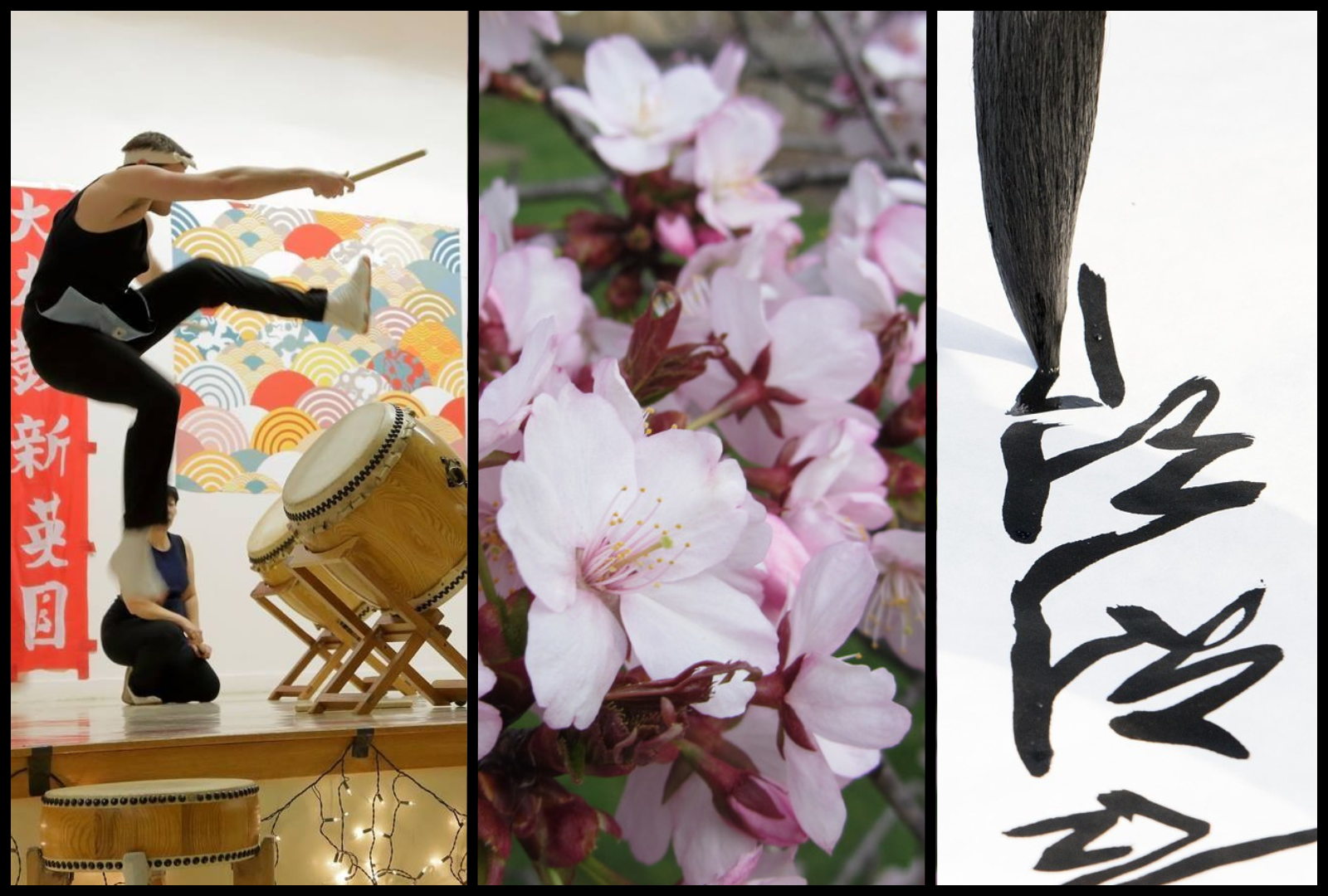 A Taiko drummer, cherry blossoms, and Japanese calligraphy