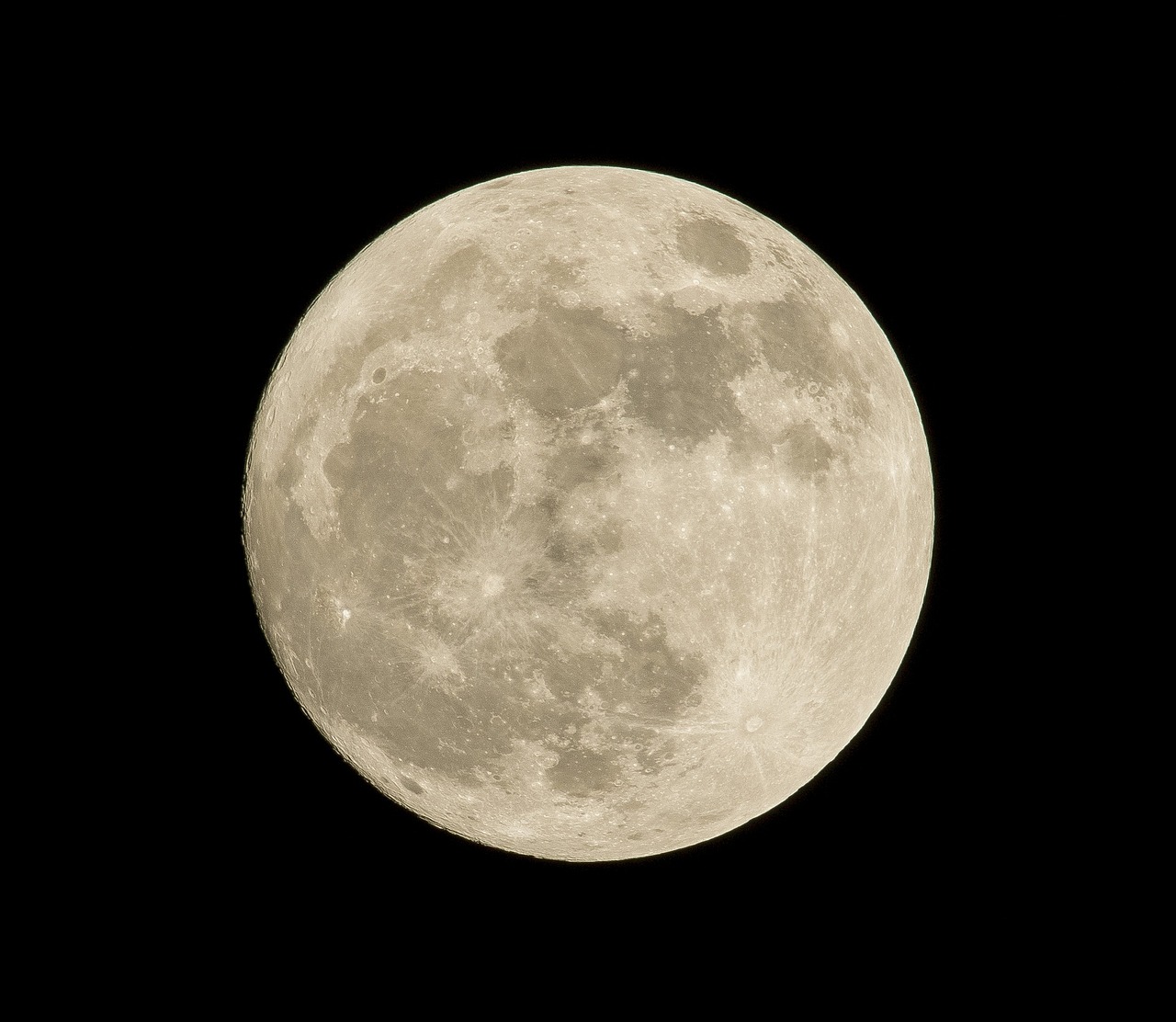 Full Moon Walk