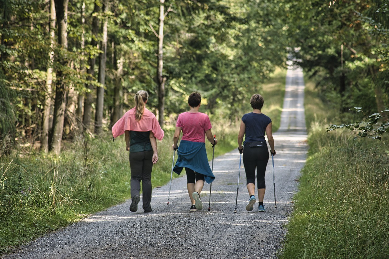 Three people walk along a tree-lined gravel path using trekking poles, surrounded by green grass and forest, on a sunny day. They are seen from behind as they head down the road.