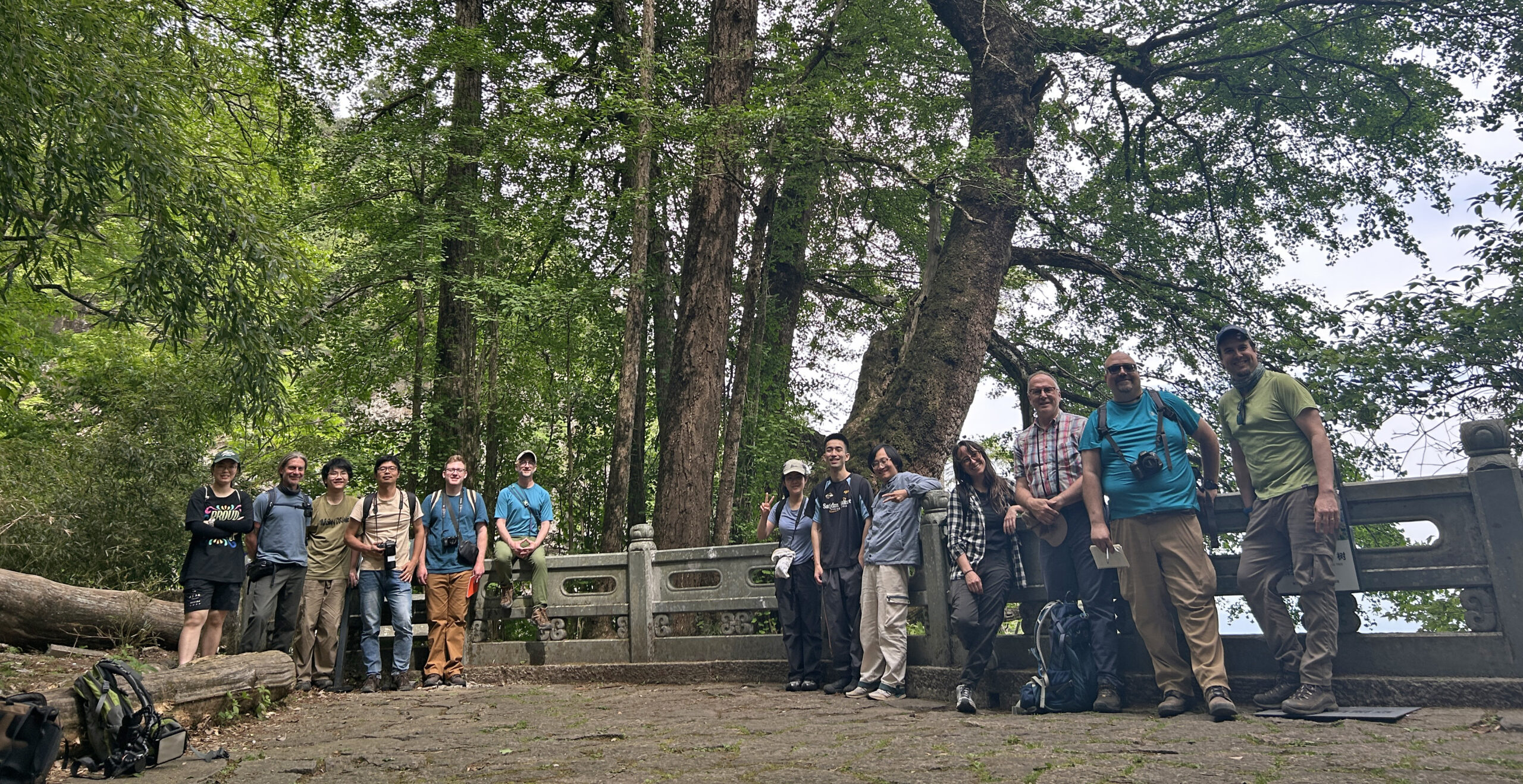 The NACEPC expedition team visits the "Five Generation Ginkgo" tree on Tainmu shan mountain in Zhejiang Province. This name was given because of the multi-generation of sprouts emerging and developing into mature trees over decades and centuries. This botanically diverse mountainside is home to some of the only known wild ginkgo trees in the world.