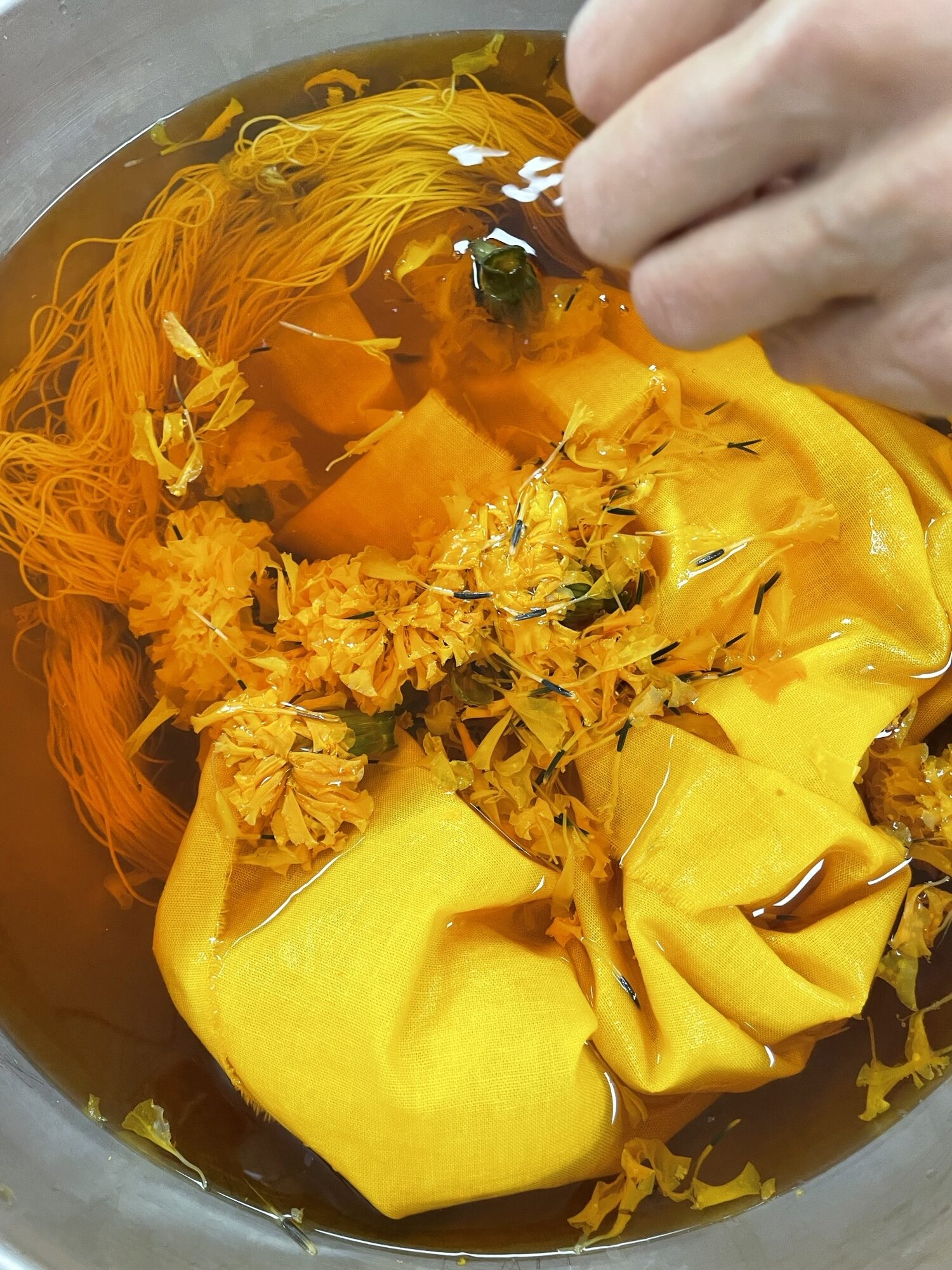 Fabric and plants in a yellow dye bath