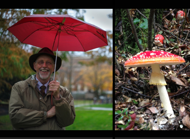 A man with a red umbrella and a red and white spotted mushroom
