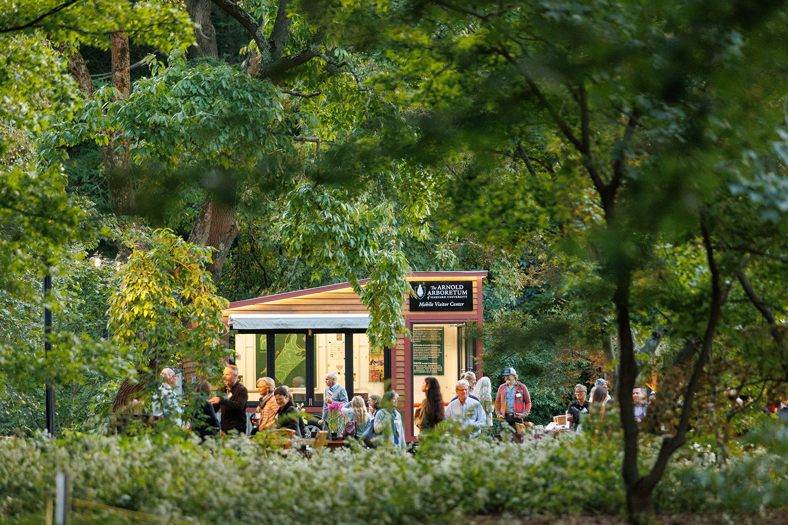 Several people mill about amongst the trees and a Mobile Visitor Center