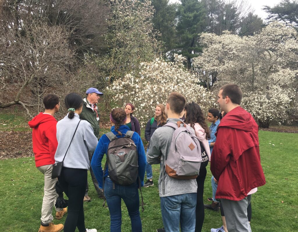 A man is talking to a group of people in front of a group of flowering trees.