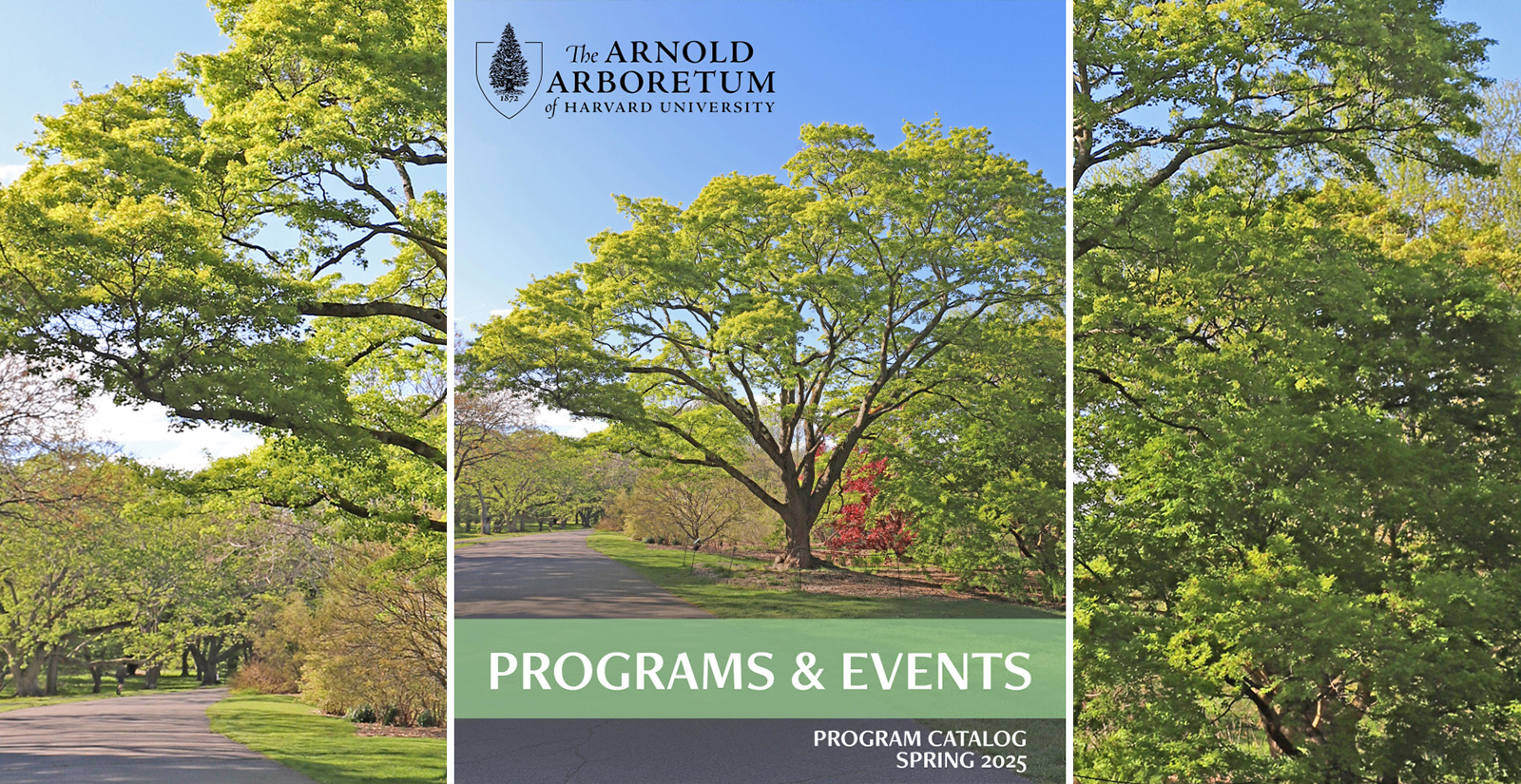 Spring program guide 2025