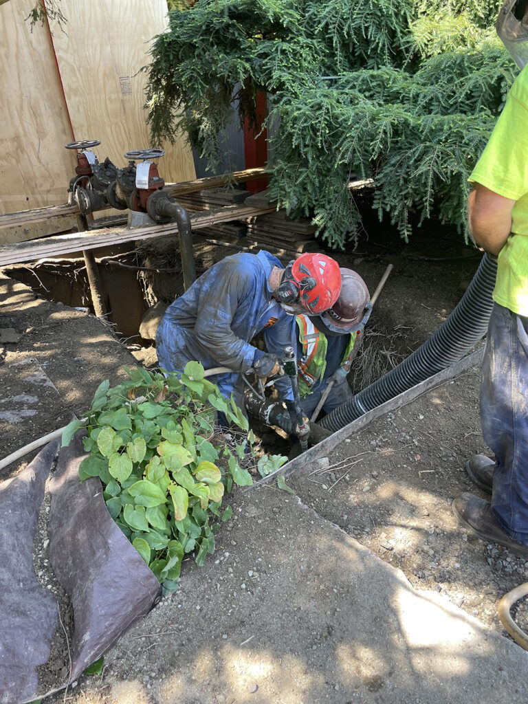 Arnold Arboretum Horticulturist Conor Guidarelli air spading at Dana Greenhouse. Air spading is used to protect tree roots when excavation of soil is required on sensitive areas.