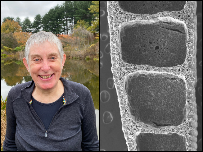 A white woman with short grey hair and a closeup for a series of plant cells