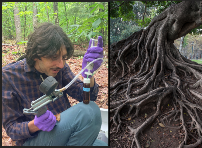 A man uses a scientific instrument next to a picture of tree roots