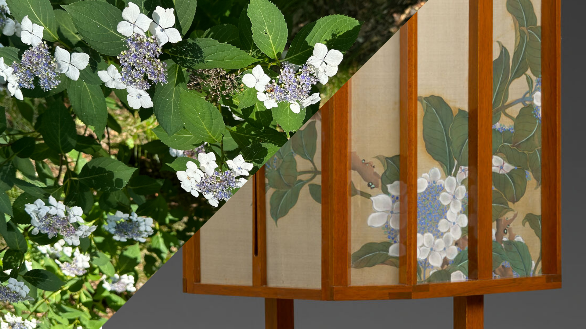 Arb/Art Double Take: Hydrangeas & Painted Lantern