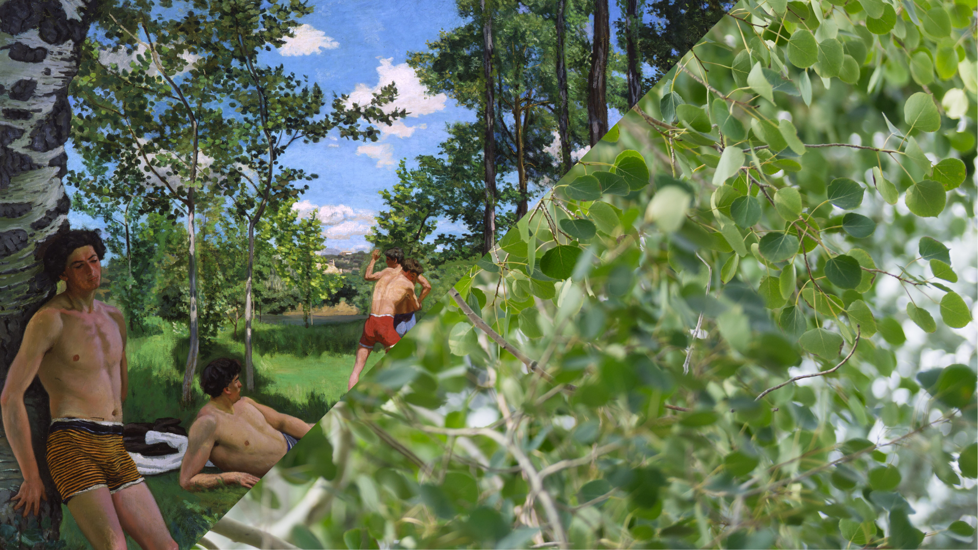 Arb/Art Double Take: Poplars & Bazille’s Bathers