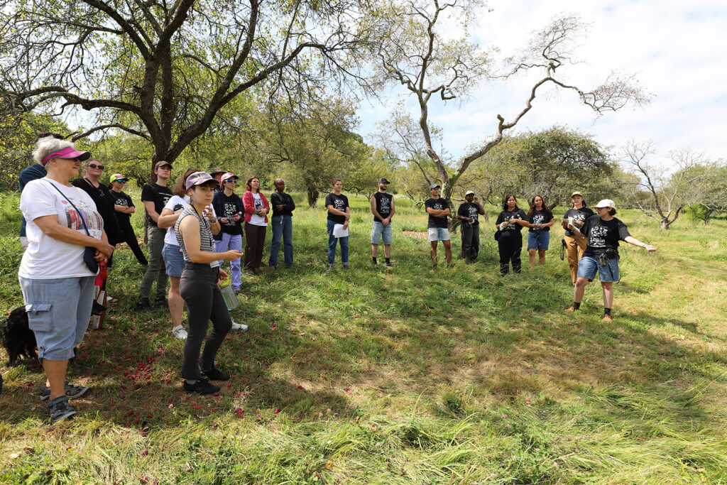 2025 Hunnewell Interns present their final project to Arboretum staff and visitors in August