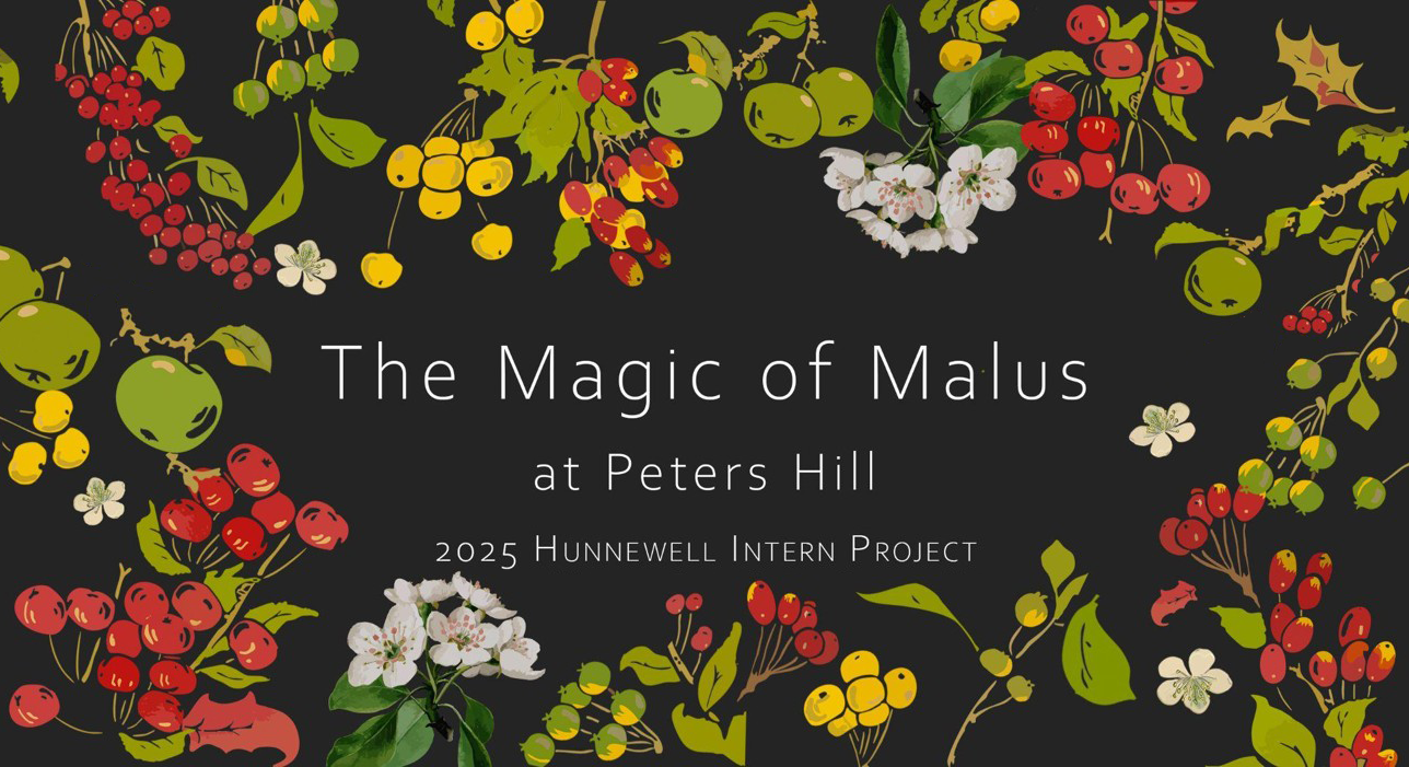 Cultivating Beauty and Knowledge on Peters Hill